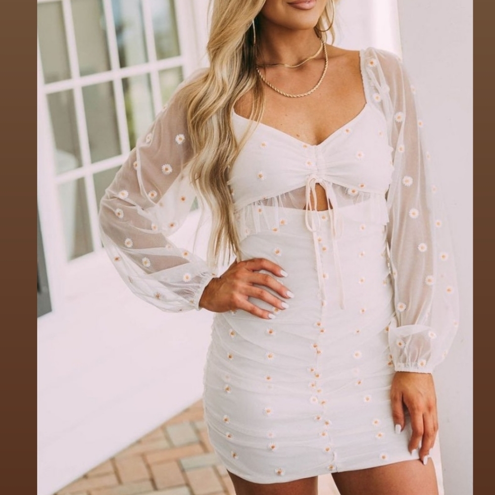 These Three Boutique Daisy Printed Mesh Mini Dress